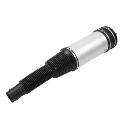 W220 Air spring posteriore