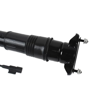 2005- Mercedes Benz R CLASS W251 Suspensione posteriore A2513201931