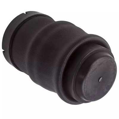 W638 Air spring posteriore