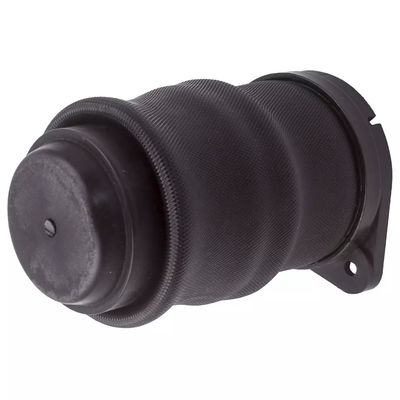 W638 Air spring posteriore