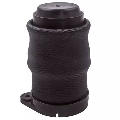 W638 Air spring posteriore