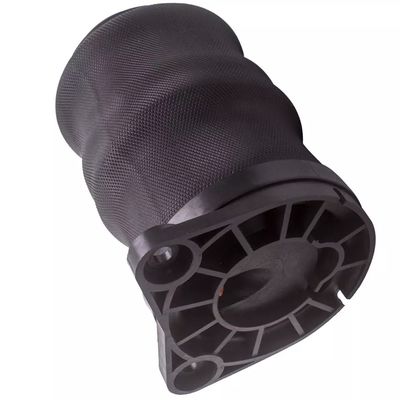 W638 Air spring posteriore