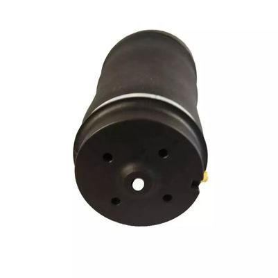 W251 Air spring posteriore