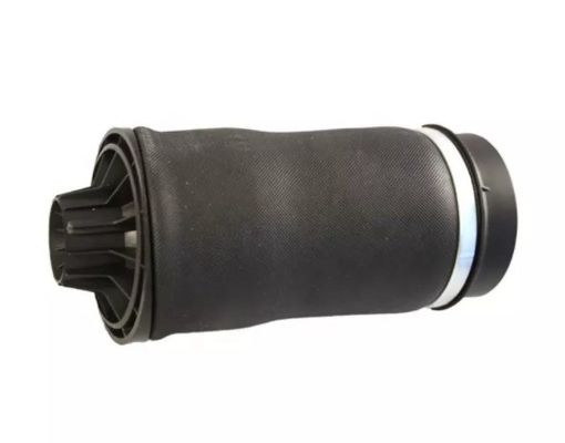 W251 Air spring posteriore