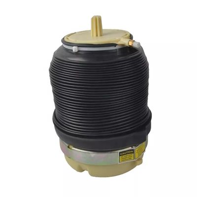A6 C6 Air spring posteriore