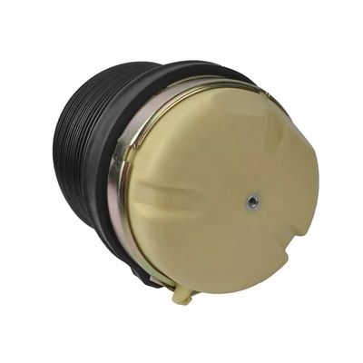 A6 C6 Air spring posteriore