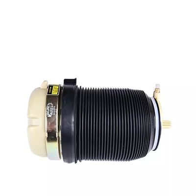 A6 C6 Air spring posteriore