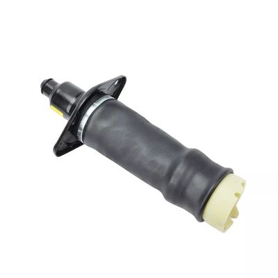 A6 C5 Air Spring L&amp;R posteriore