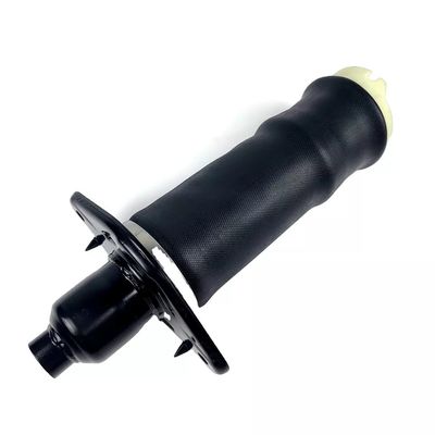A6 C5 Air Spring L&amp;R posteriore
