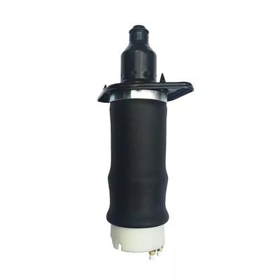 A6 C5 Air Spring L&amp;R posteriore