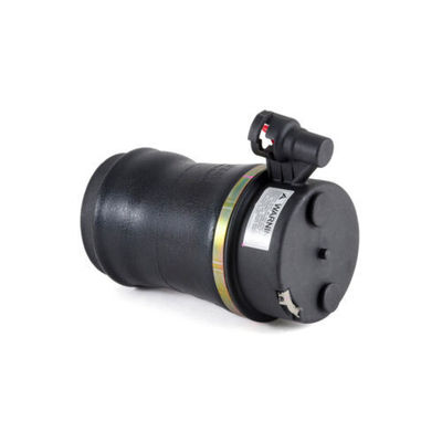 Alte prestazioni per Ford Air Rear Spring Nuovo 17610025-101, 17610025-102