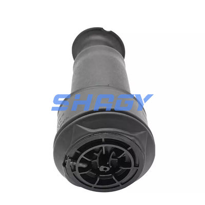 Per Mercedes Citroen C4 posteriore 96819460805102 GN5102R8 Air Spring